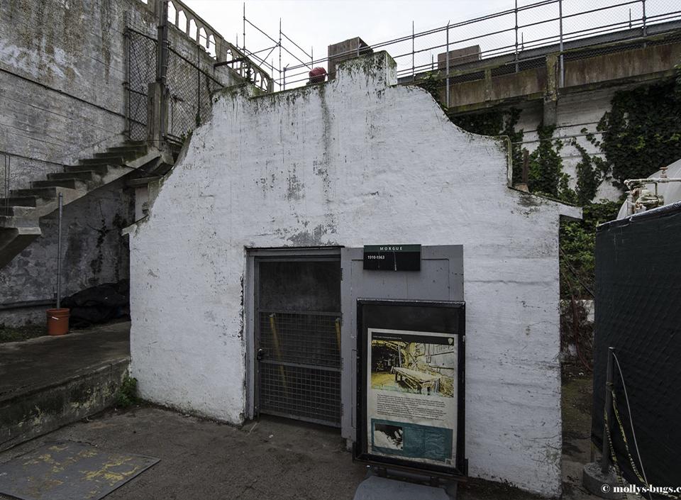 Alcatraz ch3 - The Morgue