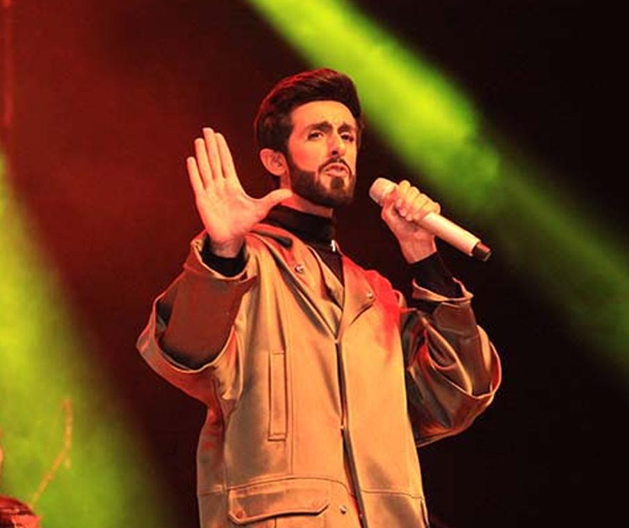 My heart will go on Cover