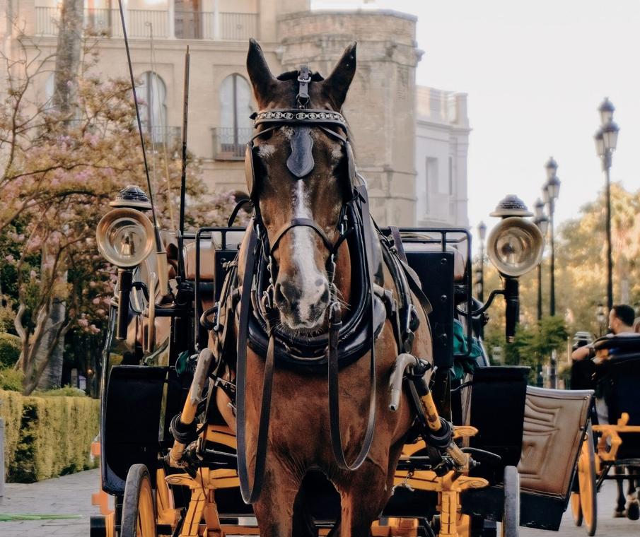 جولة في المدينة