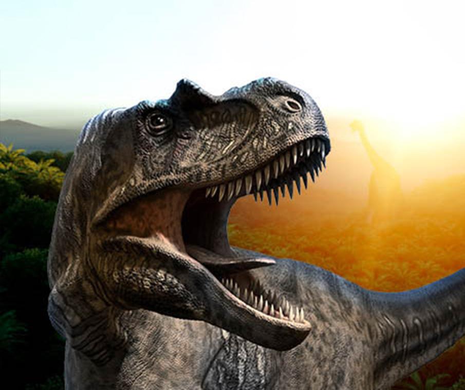 Dinosaurs In The Valley